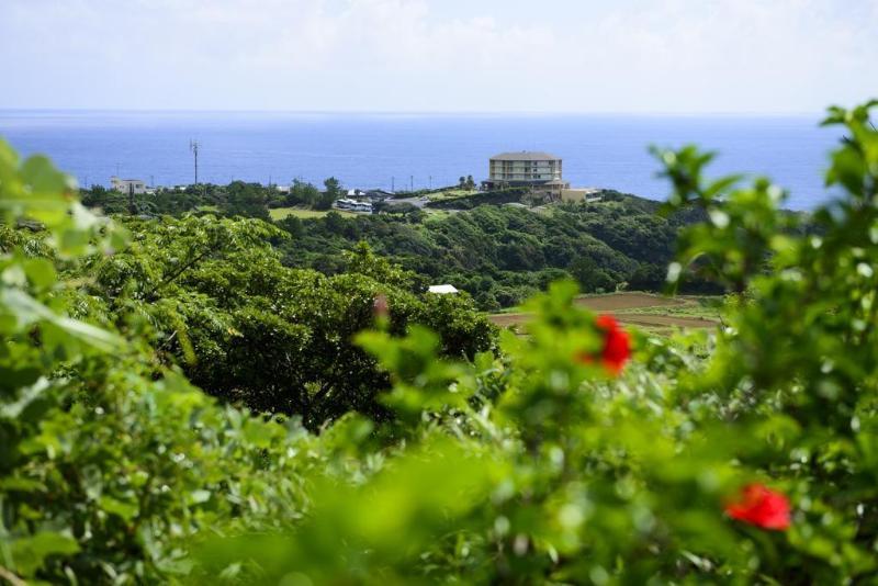 Yakushima Iwasaki Hotel Exterior photo